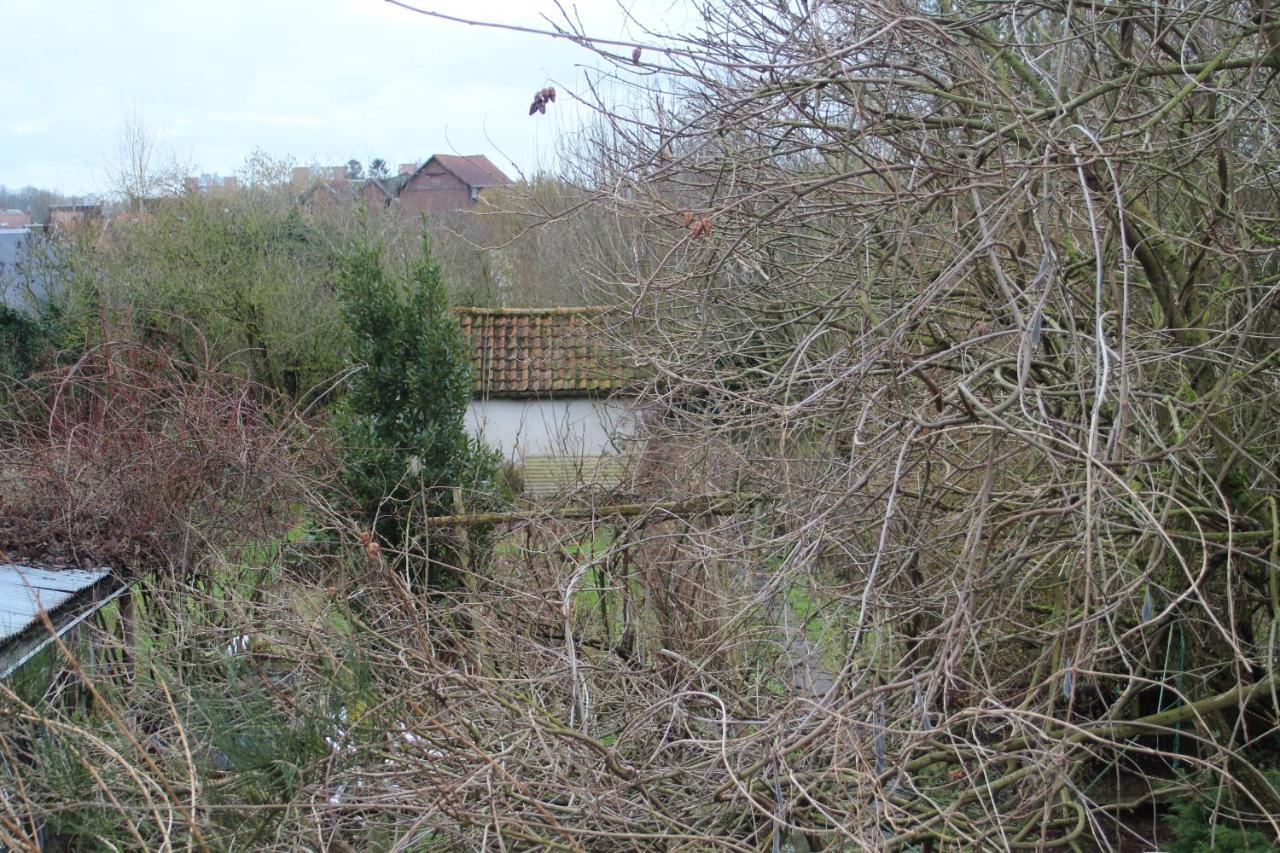Maison D'Artiste Acces Jardin Maubeuge Eksteriør billede